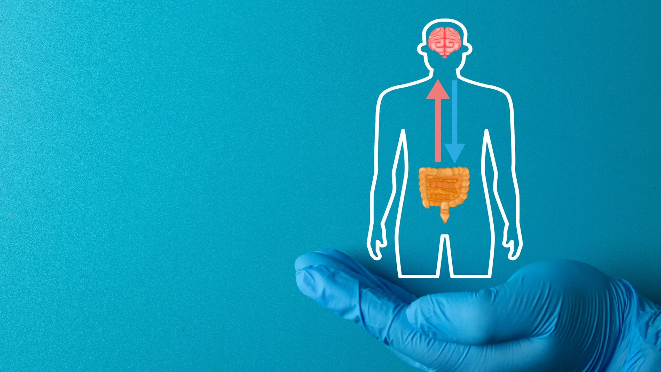 Gloved hand holding brain-gut connection illustration.