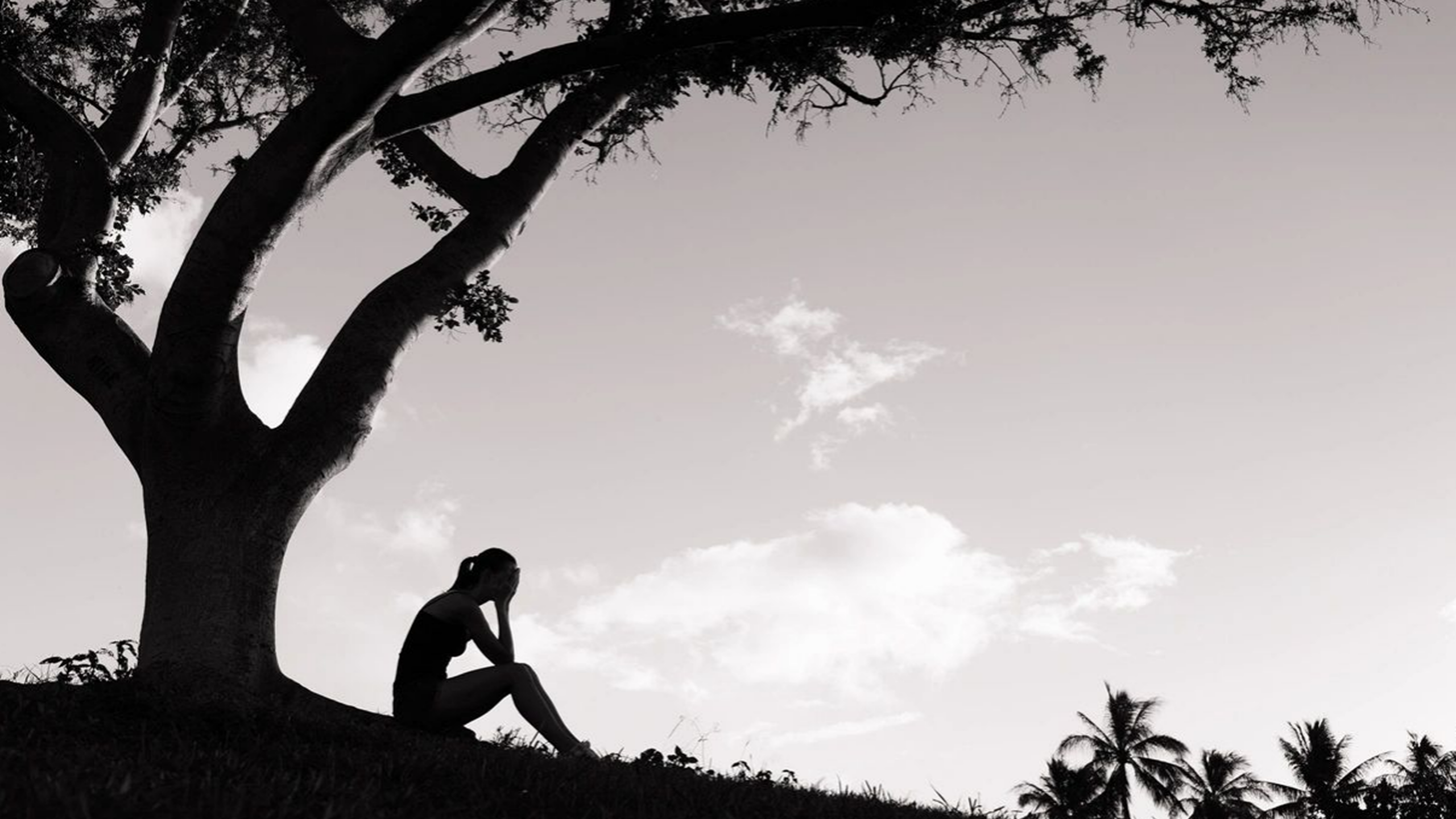 Silhouette of person sitting under a tree.